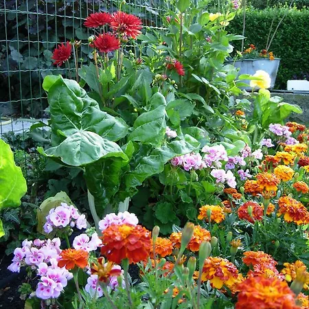 Logis & Restaurant La Paix 3* Le Nouvion-en-Thierache